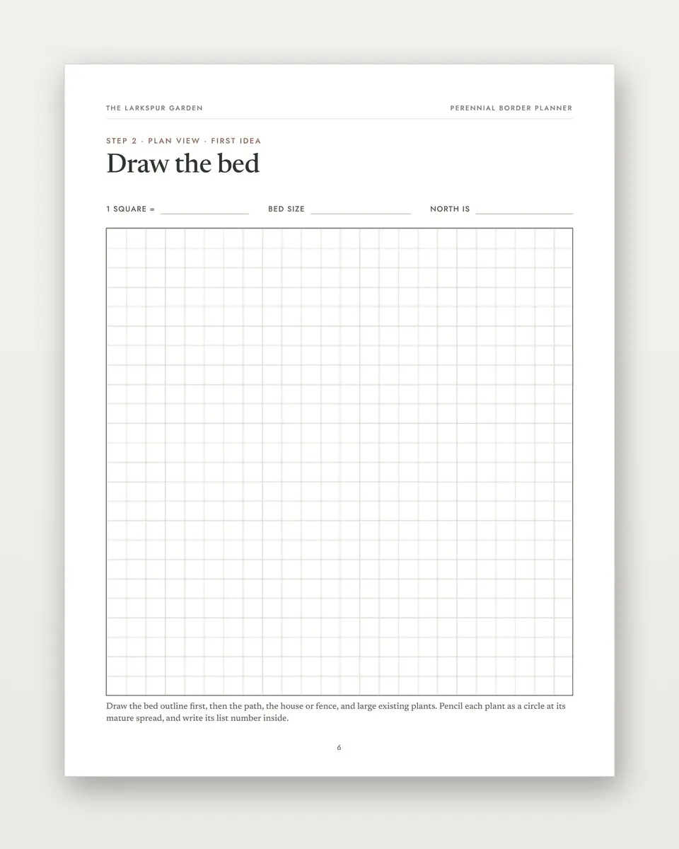 Perennial Border Planner plan-view grid page for drawing the bed