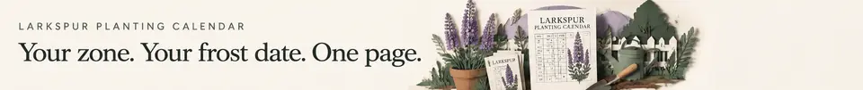 Your zone. Your frost date. One page. Larkspur Planting Calendar