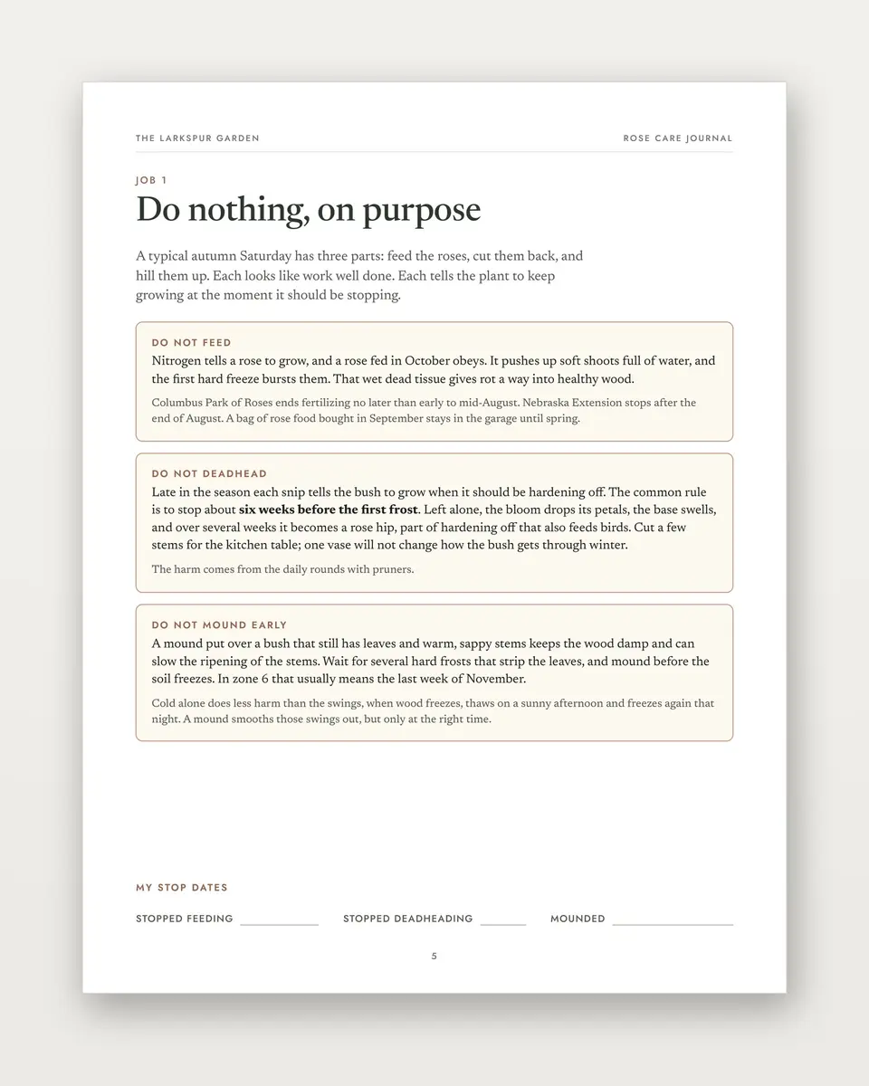 Rose Care Journal page about doing nothing on purpose: no feeding, deadheading or early mounding